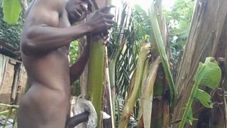 معاينة الفيديو